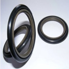 Rod seals (DSJ)